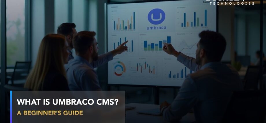 Umbraco CMS development